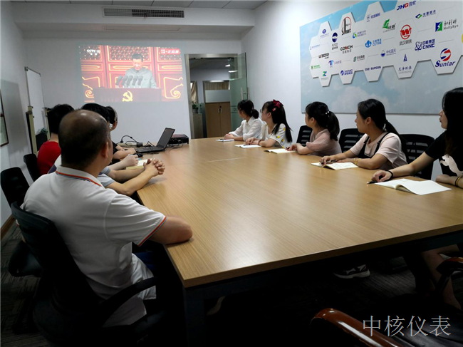 中核仪表部分在汉党员集中收看建党100周年大会